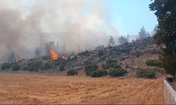 Gaziantep’te çıkan yangında 30 dönüm ormanlık alan zarar gördü