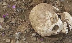 Gümüşhane’de yol ortasında insan kafatası bulundu