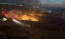 İzmir’de otluk alanda çıkan yangın evlere sıçramadan söndürüldü