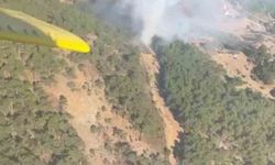 İzmir’deki orman yangınına havadan ve karadan müdahale sürüyor