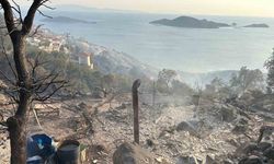 İzmir’deki yangında bir bağ evi kül oldu