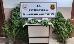 Jandarma Kayseri’de uyuşturucuya geçit vermiyor
