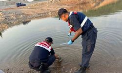 Jandarma küçük balık avlayan 7 kişiye 18 bin lira ceza kesti
