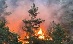 Kahramanmaraş’taki orman yangınına müdahale sürüyor