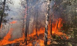 Karabük’teki orman yangınında alevler yayılıyor