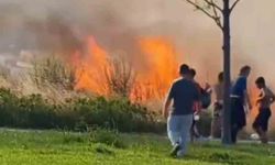 Kartal’da otluk alanda çıkan yangın korkuttu