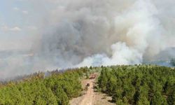 Kastamonu’da orman yangını: Söndürme çalışmaları havadan ve karadan sürüyor
