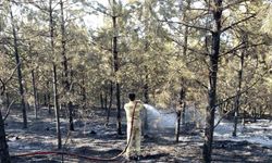 Kastamonu’daki orman yangını kontrol altına alındı