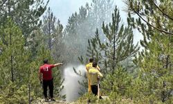 Kastamonu’daki orman yangınları kontrol altına alındı