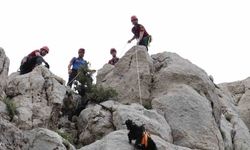 Kayalık alanda mahsur kalan 6 keçi ekiplerce kurtarıldı
