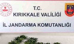 Kırıkkale’de uyuşturucu operasyonu: 3 gözaltı