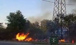 Kopan elektrik kablosu ağaçlık alanı alev alev yaktı