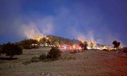 Kozan’da çıkan orman yangını kontrol altına alındı