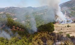 Kozan’da yanan ormanlık alan havadan görüntülendi