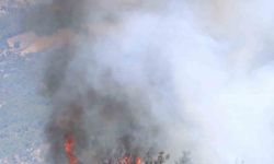 Kozan’daki orman yangınında alevler tekrar yükseliyor