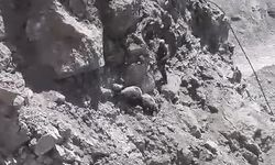 Kurttan kaçıp kayalıklarda mahsur kalan 3 koyun AFAD tarafından kurtarıldı