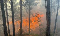 Kütahya Gediz’deki orman yangını kontrol altına alındı