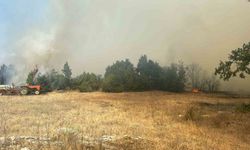 Kütahya’da orman yangını