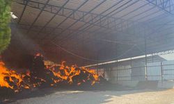 Manisa’da çiftlik yangını: 2 bin balya saman kül oldu