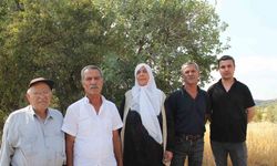 Mardin’de ağabey, 15 kardeşinin arazi hakkını sahte tapu işlemleri ile aldığı iddia edildi