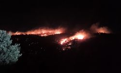Mardin’de ağaçlık alanda çıkan yangın büyüyor