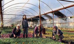 Muğla Büyükşehir Belediyesi 4 ilçede tarım market kuruyor