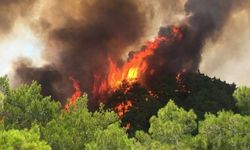 Muğla Valisi Dr. İdris Akbıyık’tan orman yangınlarına karşı uyarı