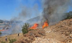 Muğla’nın Menteşe İlçesinde tarım arazisi yangını