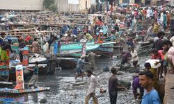 Pakistan’daki deniz kirliliği deniz yaşamı için “ölü bölgeye” neden oldu