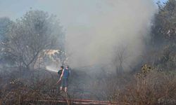 Sakarya’da arazi yangını ekipleri harekete geçirdi