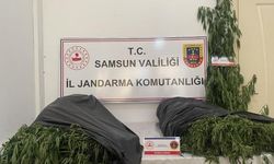 Samsun’da jandarmadan uyuşturucu operasyonu: 3 gözaltı