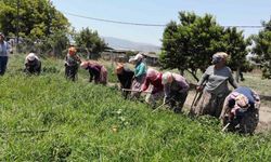 Sıcaklar Egeli kadınları yıldırmıyor