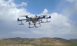 Siirt’te ilk defa dron ile çekirge ilaçlama yapıldı