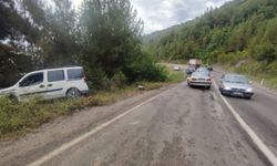 Sinop’ta iki araç kafa kafaya çarpıştı: 2 yaralı