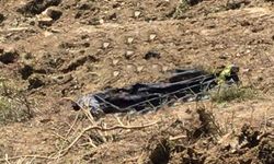 Sinop’ta iş makinesinin altında kalan operatör hayatını kaybetti