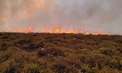 Sinop’ta örtü yangını: 5 hektar alan zarar gördü