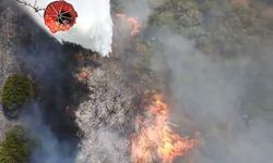 Susurluk’ta araç kazası orman yangınına dönüştü