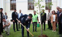 Tarım ve Orman Bakanı İbrahim Yumaklı, Bilecik’te çınar fidanı dikti