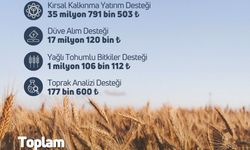 Tarım ve Orman Bakanlığı: “119,1 milyon liralık tarımsal destek ödemesi hesaplara aktarıldı”
