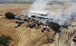 Tekirdağ’da çiftlik yangını: 15 bin balya saman yandı