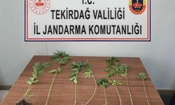 Tekirdağ’da uyuşturucu operasyonları: 8 kişi yakalandı