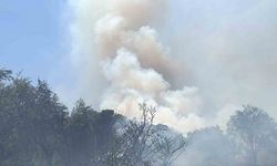 Turgutlu’da orman yangını evlere sıçradı