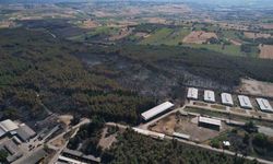 Uludağ Üniversitesi’ndeki yangının hasarı ortaya çıktı: 897 dekar orman ve biçilmiş alan küle döndü