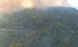 Urla’da orman yangını
