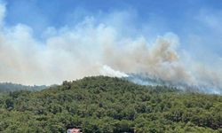 Urla’daki orman yangınında 120 konut tahliye edildi