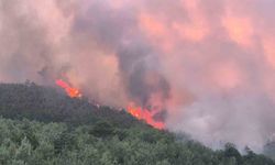 Uşak’ta ormanlık alandaki çıkan yangına müdahale devam ediyor