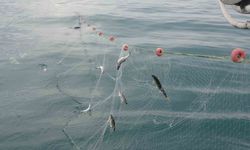 Van Gölü’nde balıkçılar ağlarını suya bıraktı