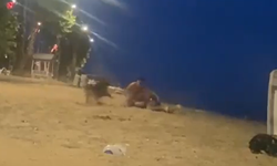 Yalova’da sahilde güreş antrenmanı yapan genci köpek ısırdı