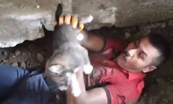 Yavru köpeği sıkıştığı yerden itfaiye ekipleri kurtardı