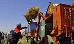 Yozgat’ta yeşil mercimek ekim alanı yüzde 30 artarak 224 bin dekara yükseldi